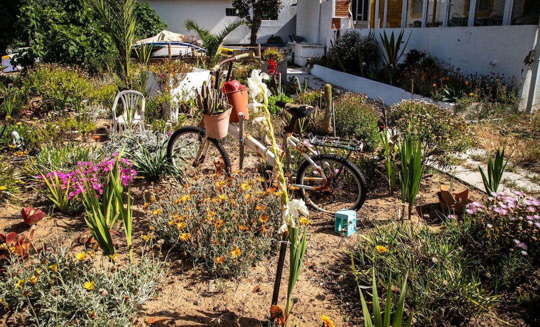 community garden project